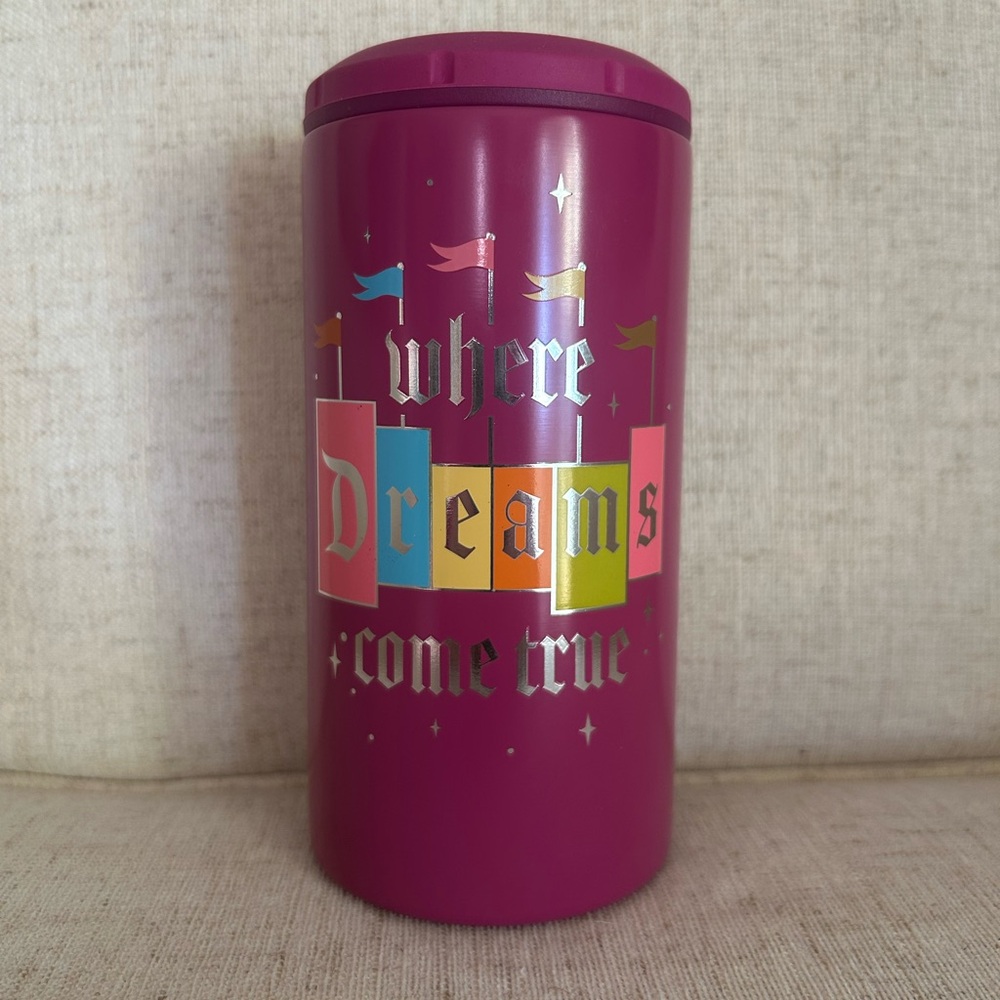 Disney Parks Can Cooler